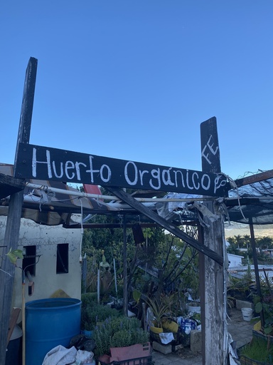 Cursos de Huertos Urbanos y Agricultura Integrativa