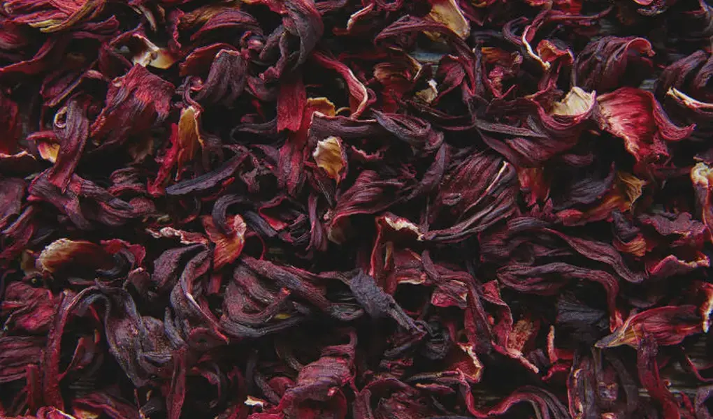 jamaica-deshidratada.webp