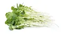 blog_alfalfa.webp