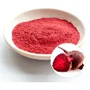 betabel-02.webp