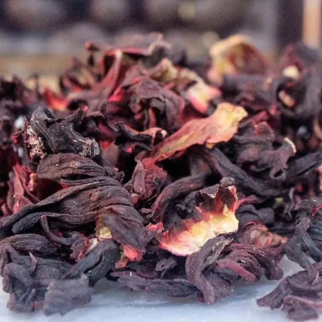 hibisco-11-998f5f52ece95f1fb316185003718677-640-0.webp