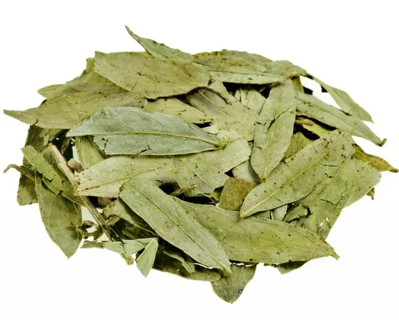neem.webp