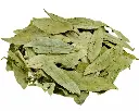 neem.webp