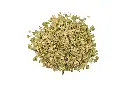 Oregano-787664383.webp