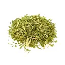 te-de-ruda-planta-ruta-graveolens.webp