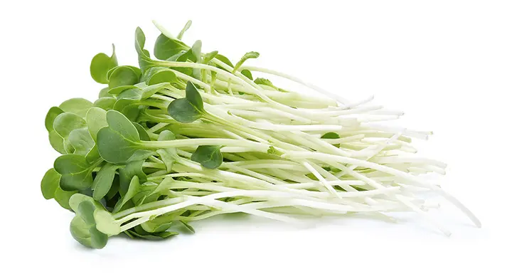 Alfalfa A granel
