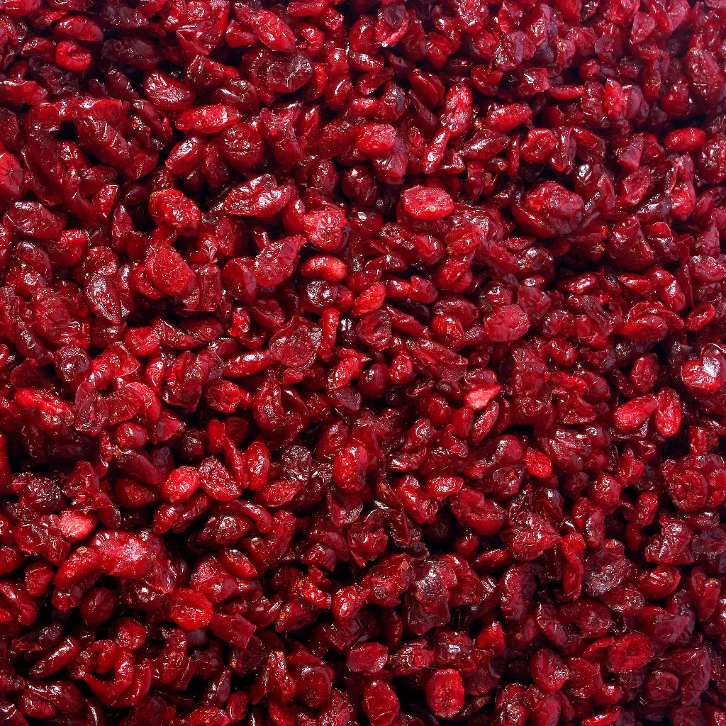 Arándano deshidratado A granel