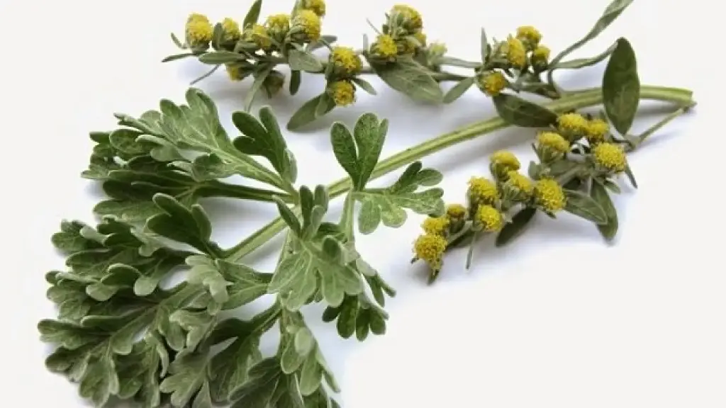 Artemisan o ajenjo A granel