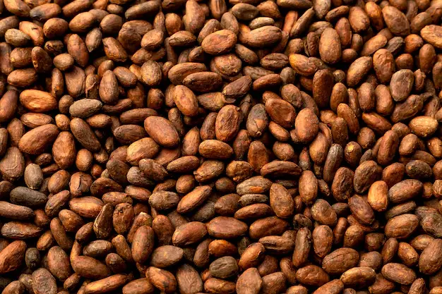 Cacao en granos A granel