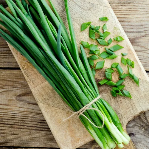 Cebollín cibboulette A granel