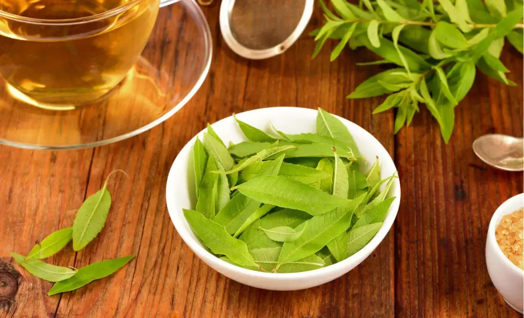 [ESPGRN_039] Cedrón hierba Luisa A granel