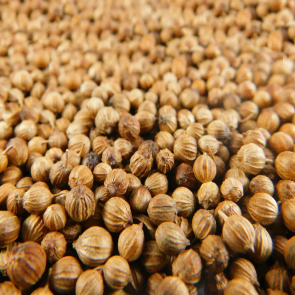 [ESPGRN_043] Cilantro en semilla A granel