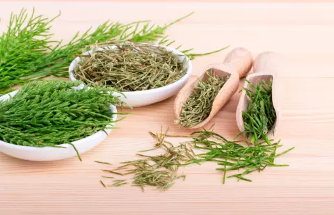 Cola de caballo A granel