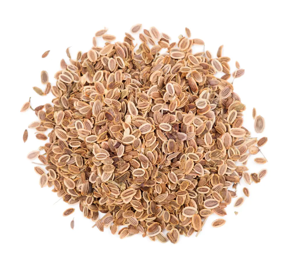 Eneldo en semilla A granel