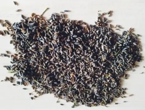 Flor de lavanda A granel