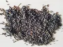 Flor de lavanda A granel