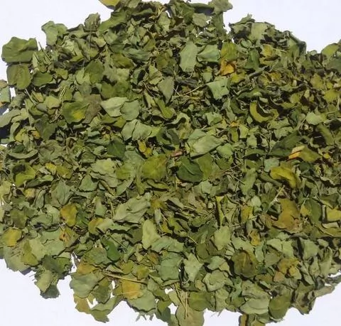 Hoja de moringa a granel