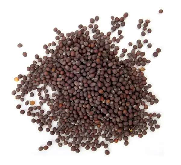 [ESPGRN_102] Mostaza roja A granel